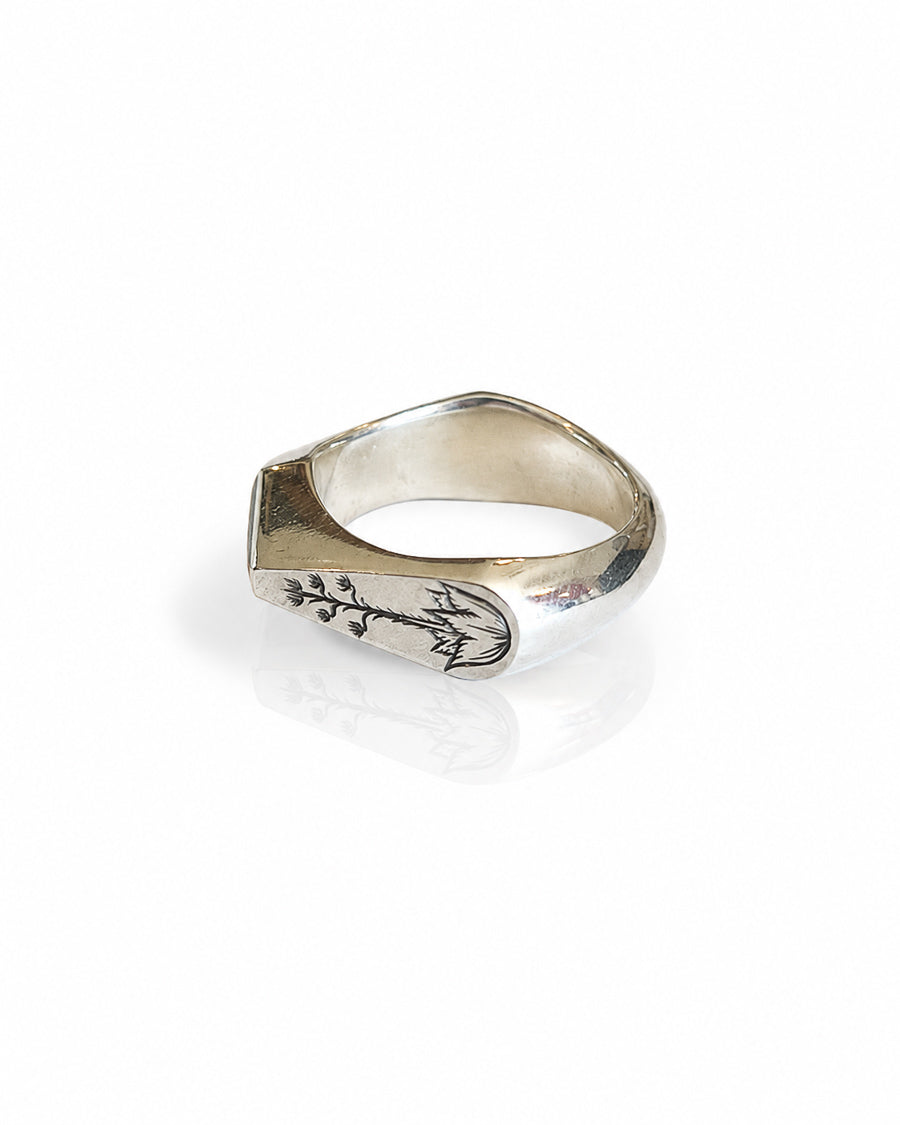 Sterling Silver Ring with Kingman Turquoise