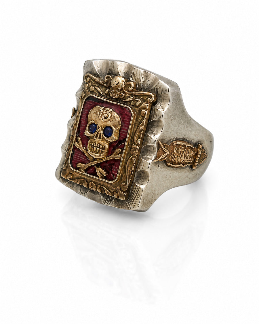 Framed Skull & Crossbones, Lucky 13, with Owl Motifs on Sides