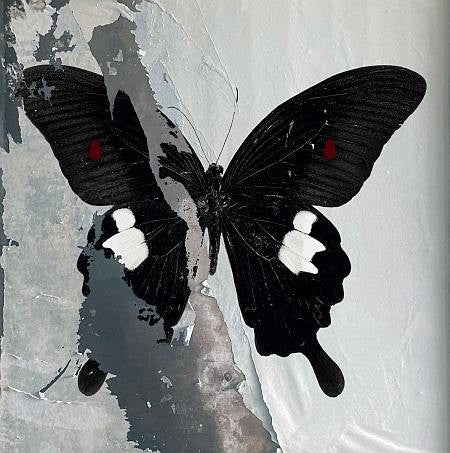 DEATH CULT : PARADISE NOW [LP CLEAR WHT/BLK SPLATTER]
