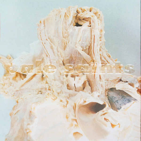 PALE SAINTS : IN RIBBONS 30TH ANNIVERSARY REISSUE [LP]