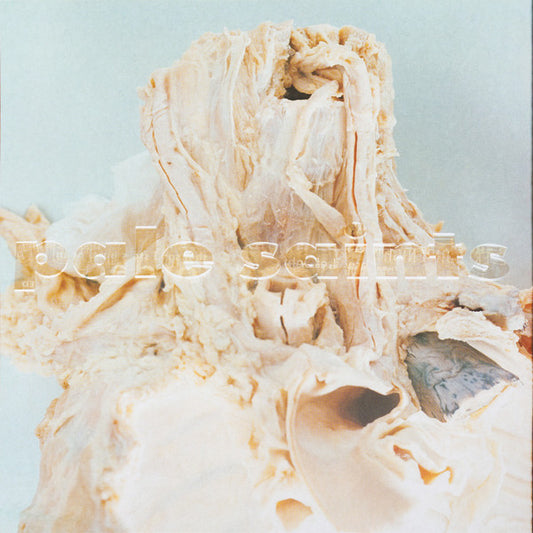 PALE SAINTS : IN RIBBONS 30TH ANNIVERSARY REISSUE [LP]
