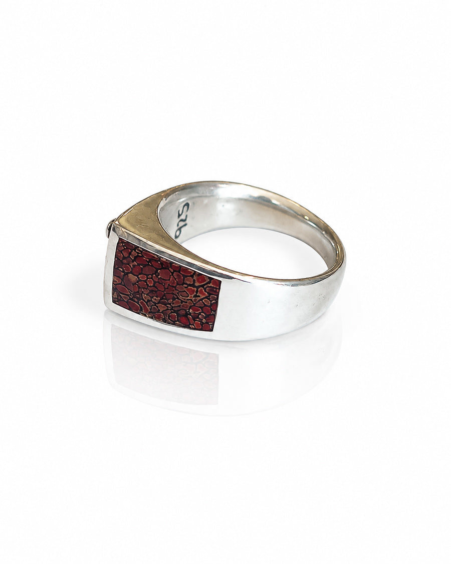 Sterling Silver Ring with Saguaro Motif and Dinosaur Bone