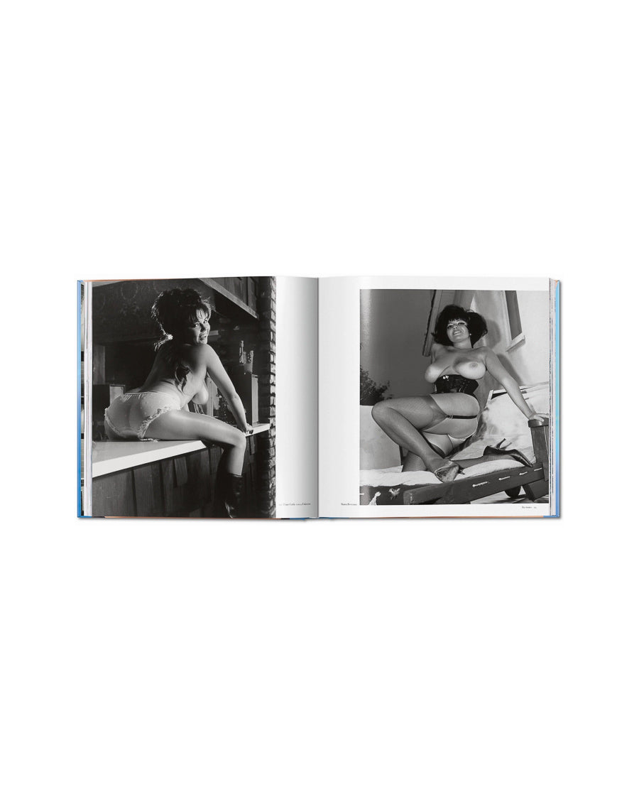 The Big Book of Breasts