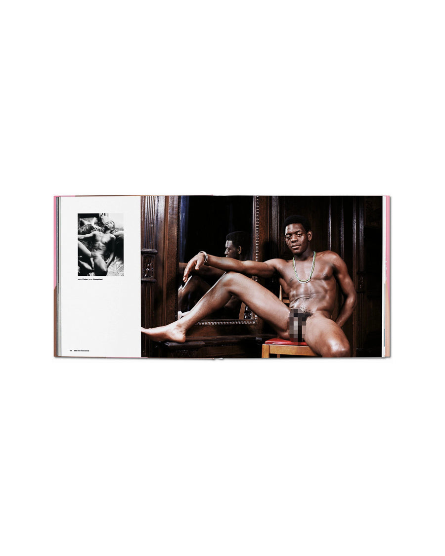 The Big Penis Book