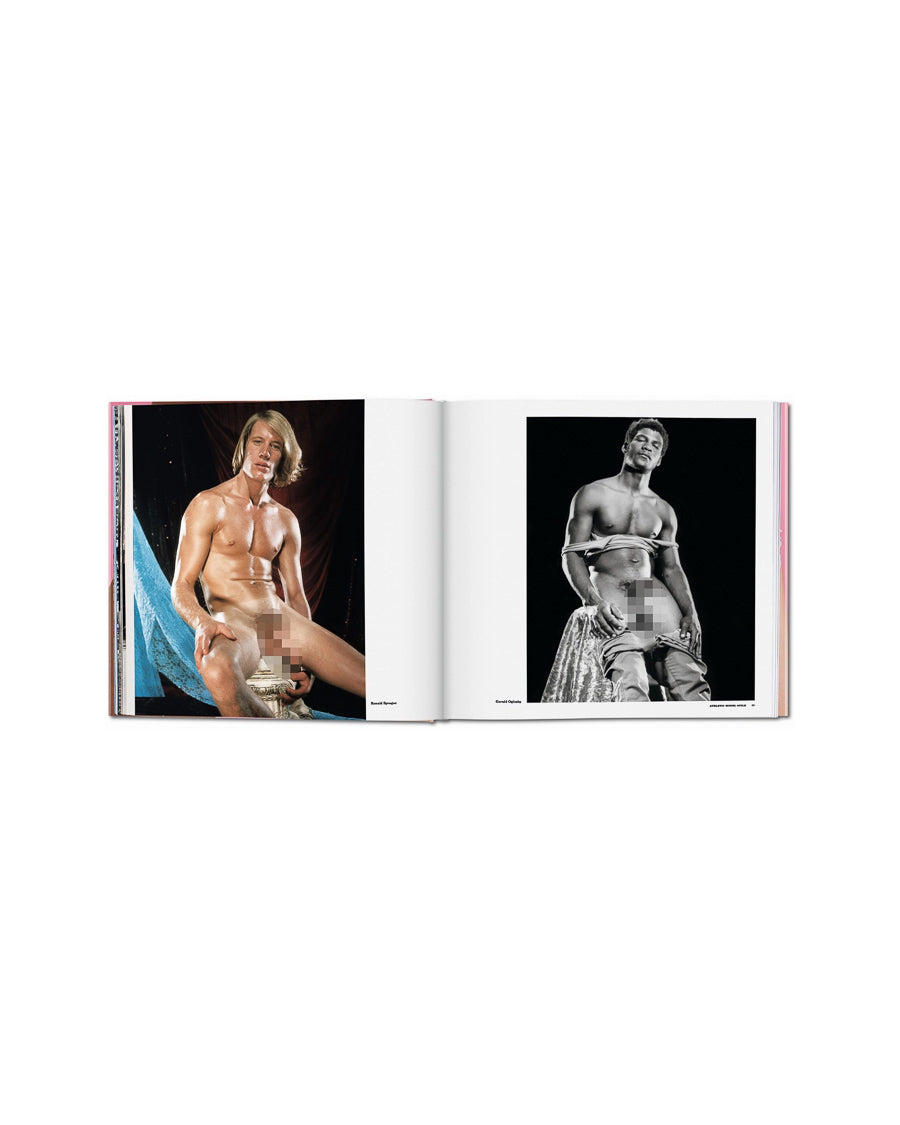 The Big Penis Book