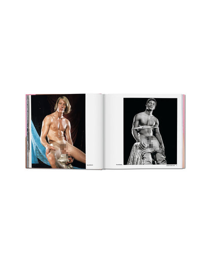 The Big Penis Book