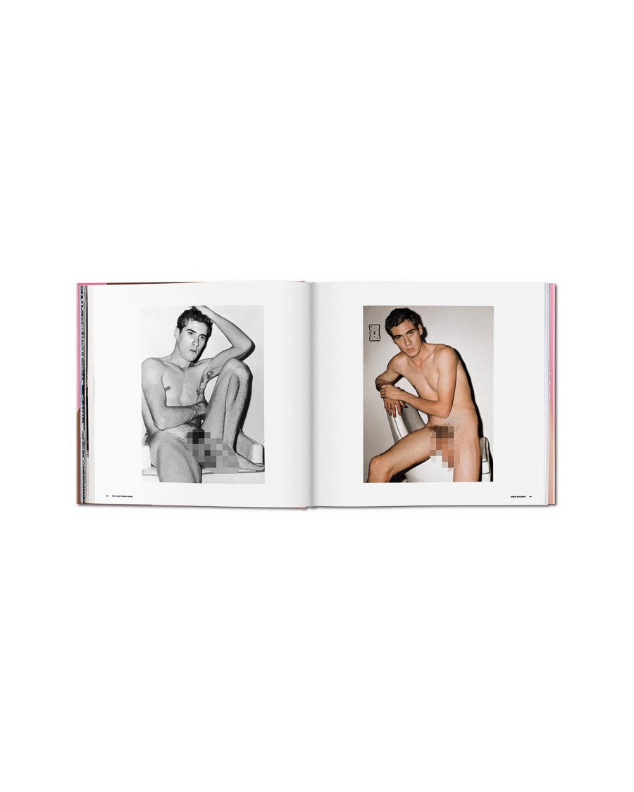 The Big Penis Book