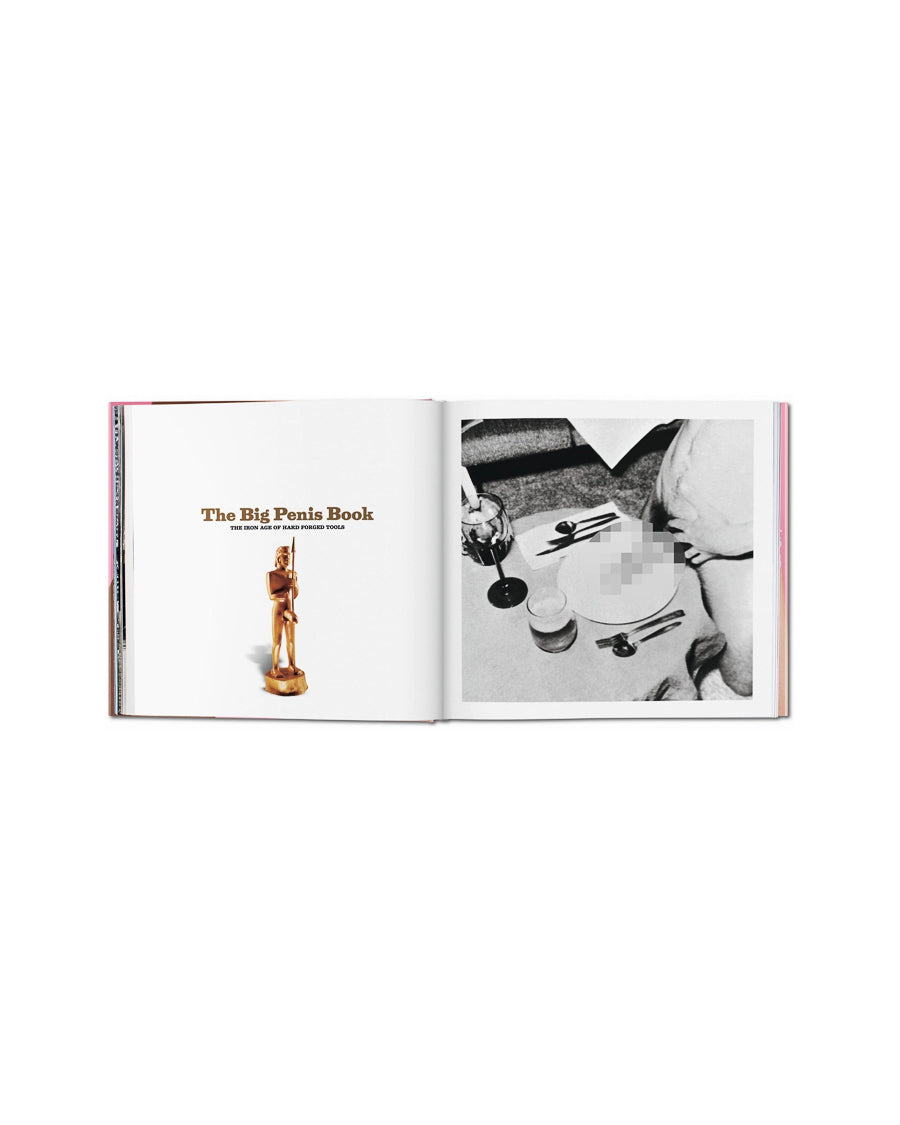 The Big Penis Book