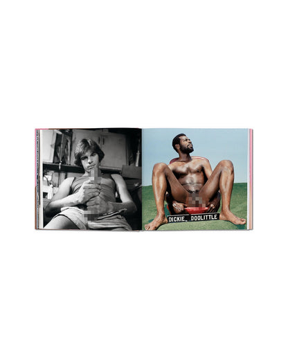 The Big Penis Book