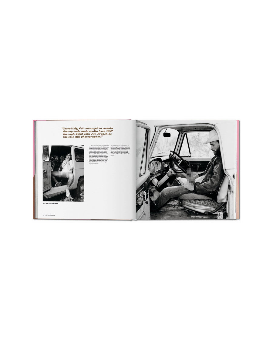 The Big Penis Book