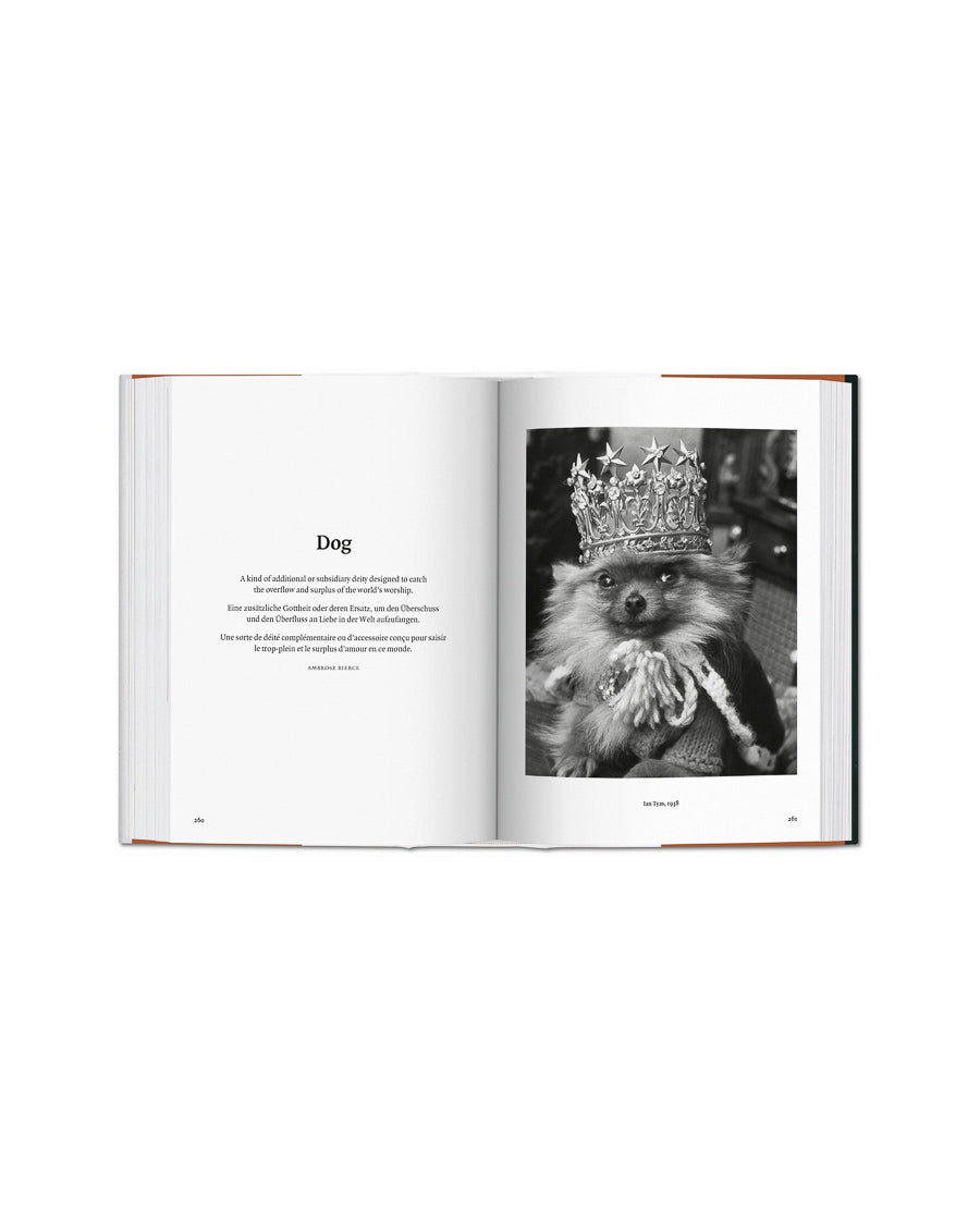 The Dog in Photography 1839–Today