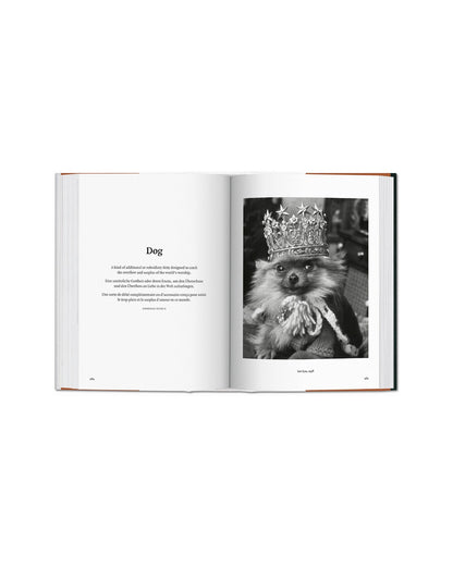The Dog in Photography 1839–Today