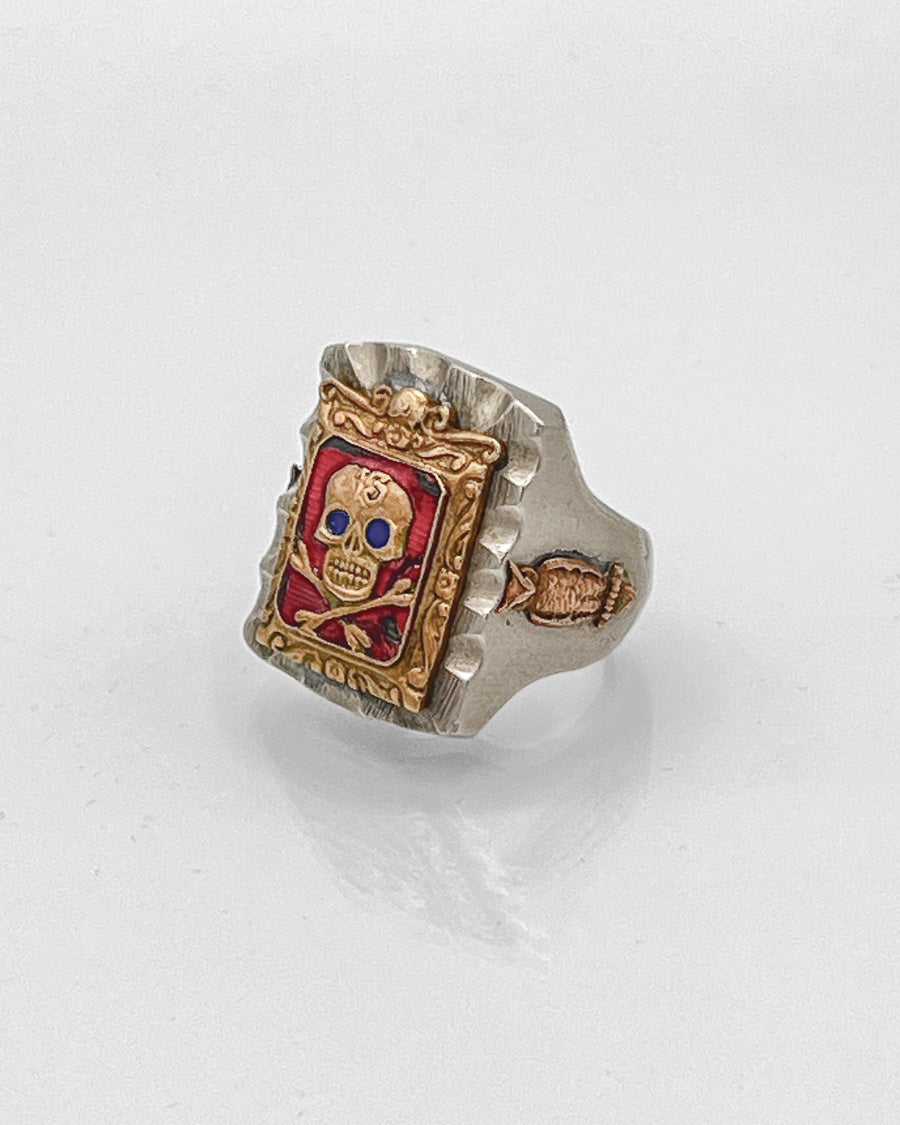 Framed Skull & Crossbones, Lucky 13, with Owl Motifs on Sides