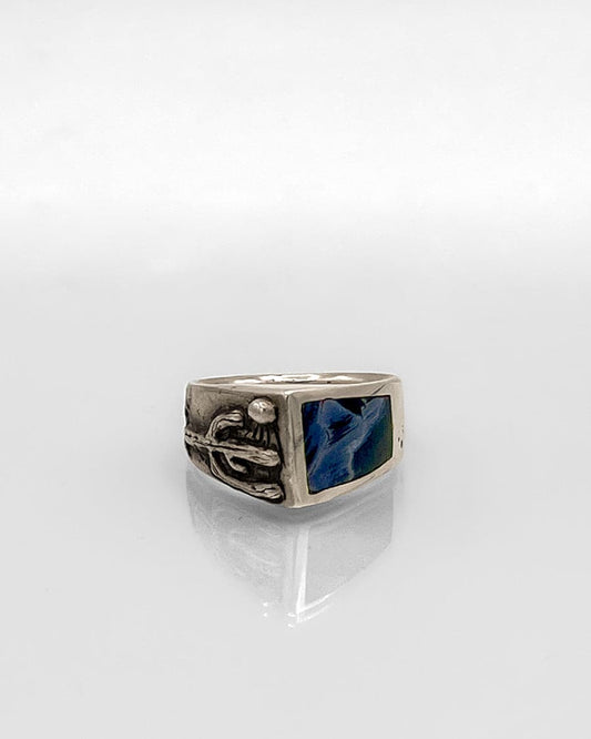 Sterling Silver Ring with Saguaro Motif and Pietersite
